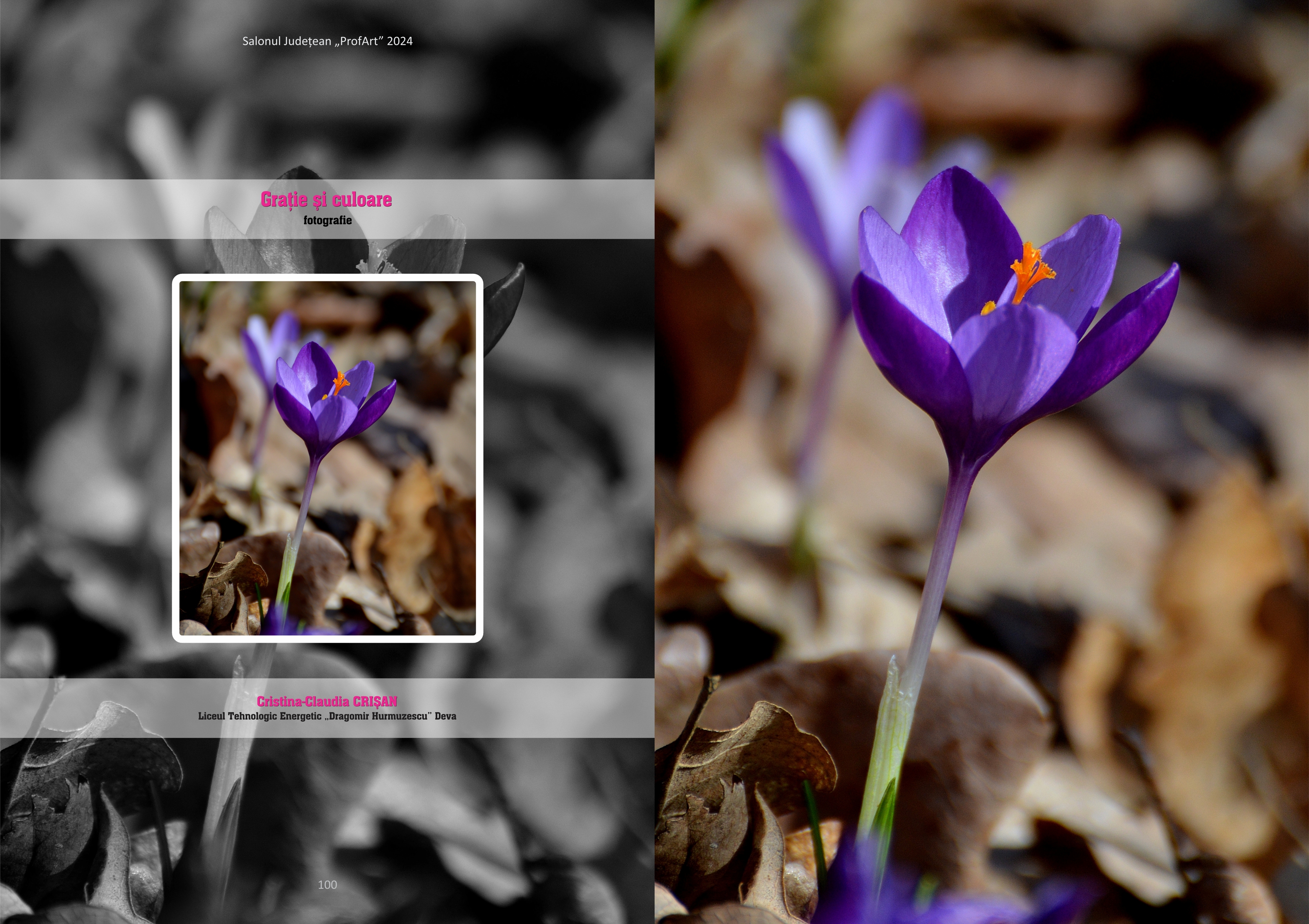 Salonul județean &bdquo;Profart&rdquo; 2024