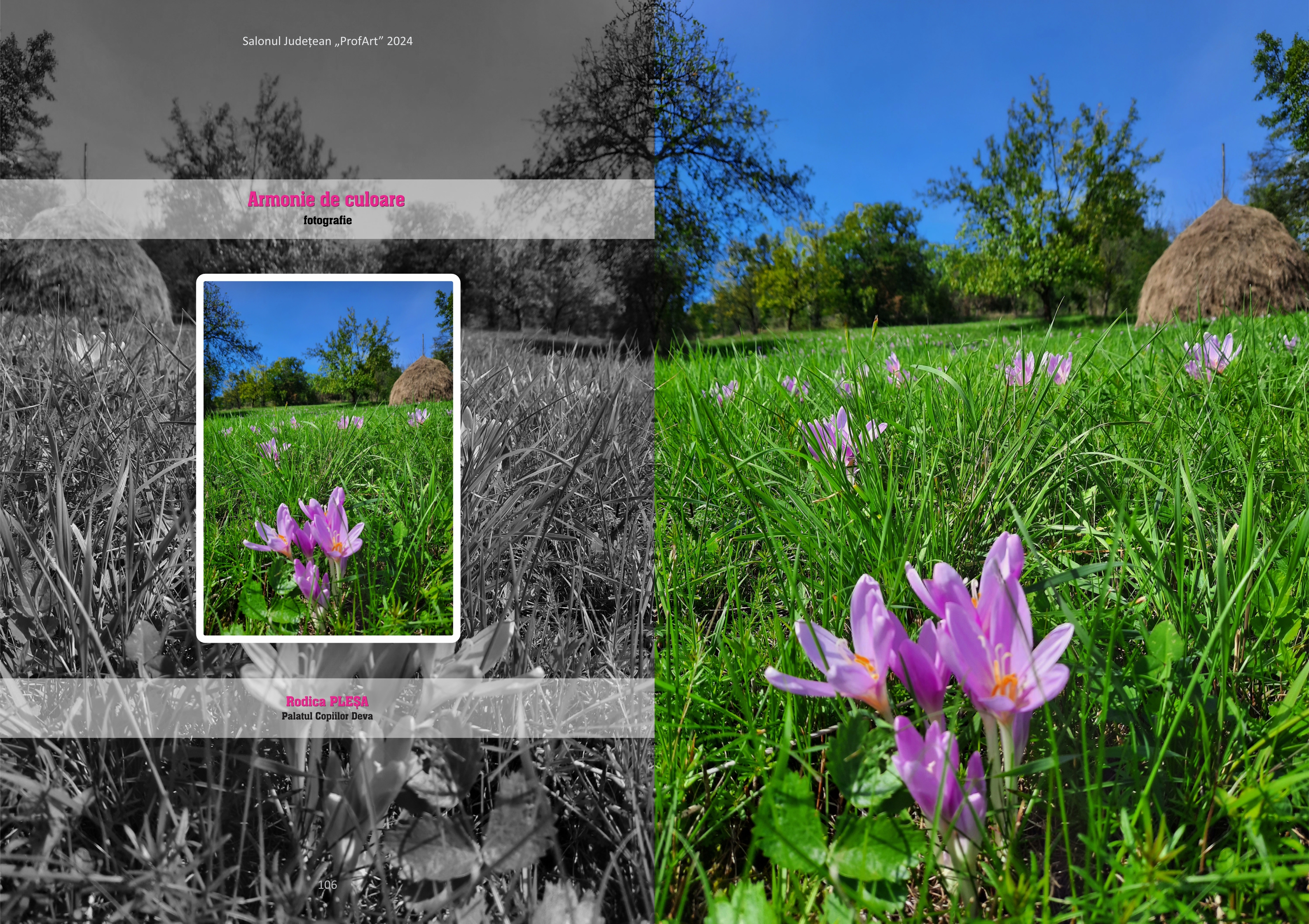 Salonul județean &bdquo;Profart&rdquo; 2024