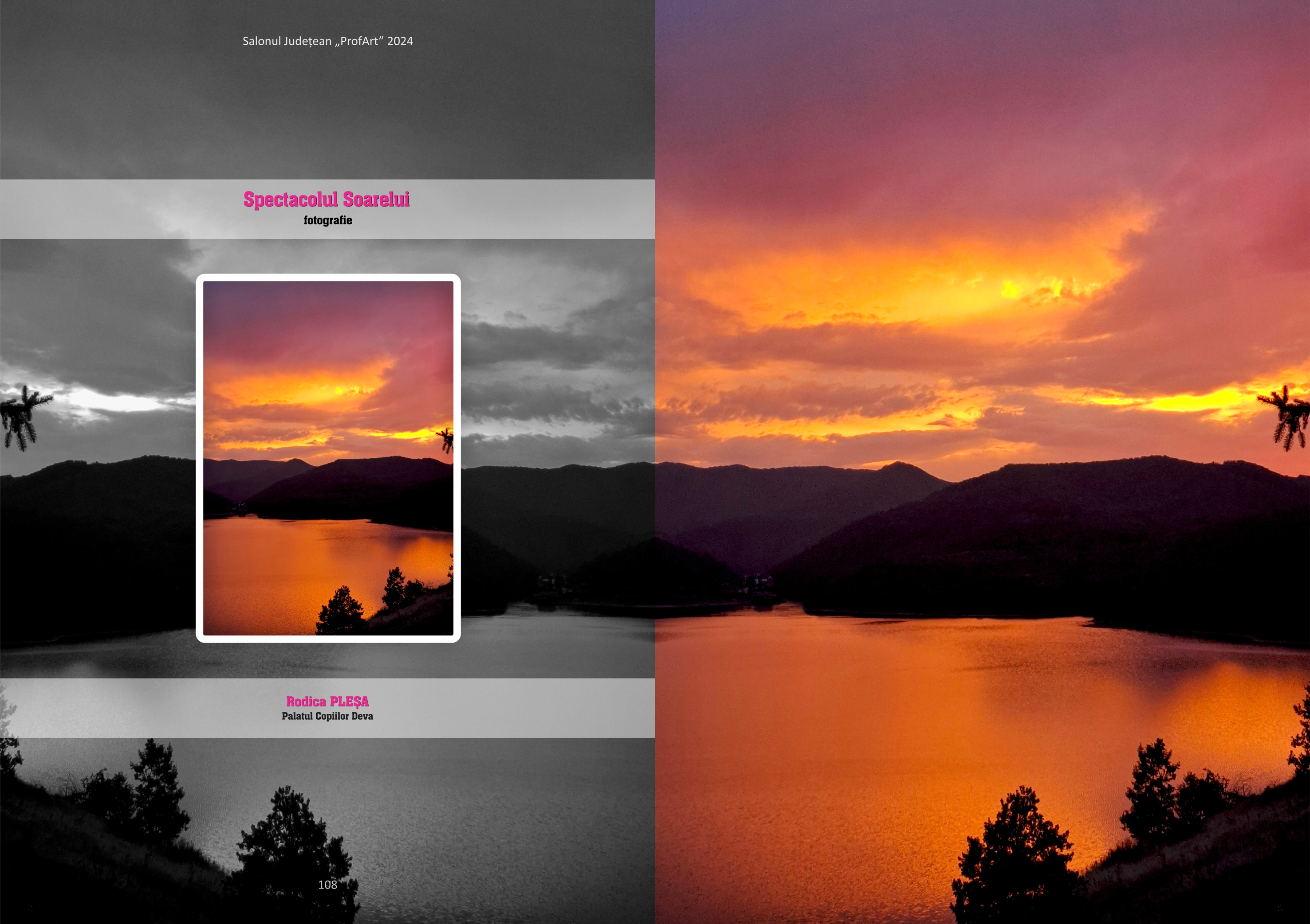 Salonul județean &bdquo;Profart&rdquo; 2024